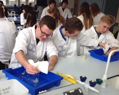 Boys in lab doing DNA analysis of bananas